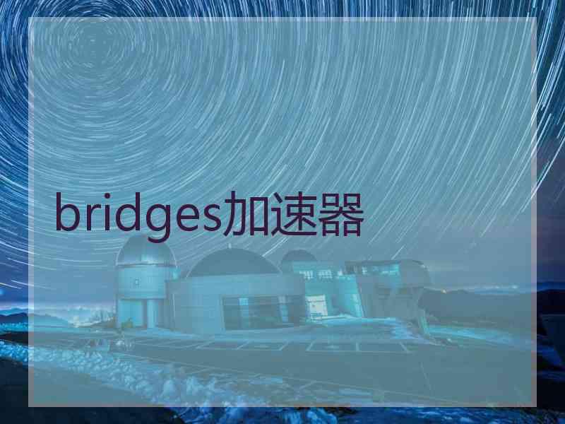 bridges加速器