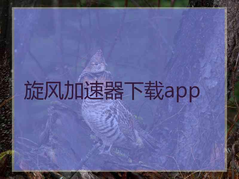 旋风加速器下载app