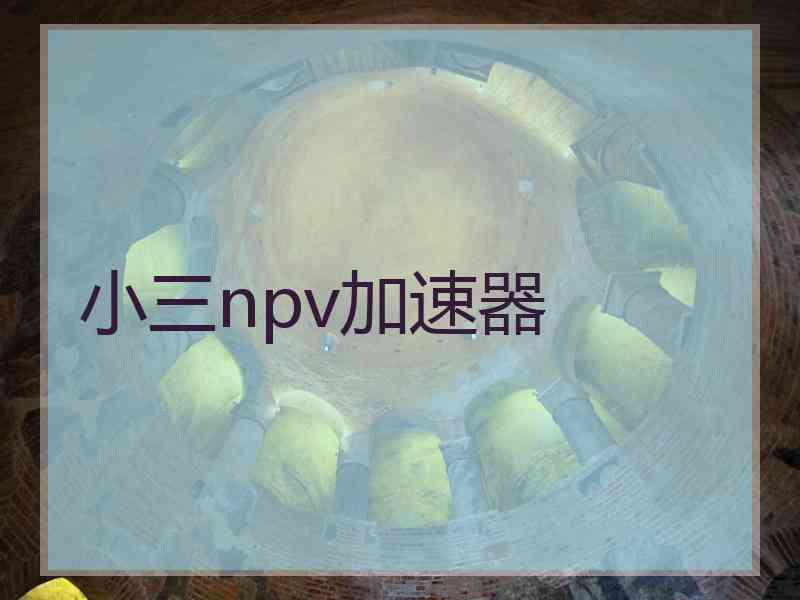 小三npv加速器