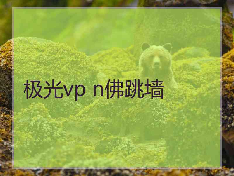 极光vp n佛跳墙