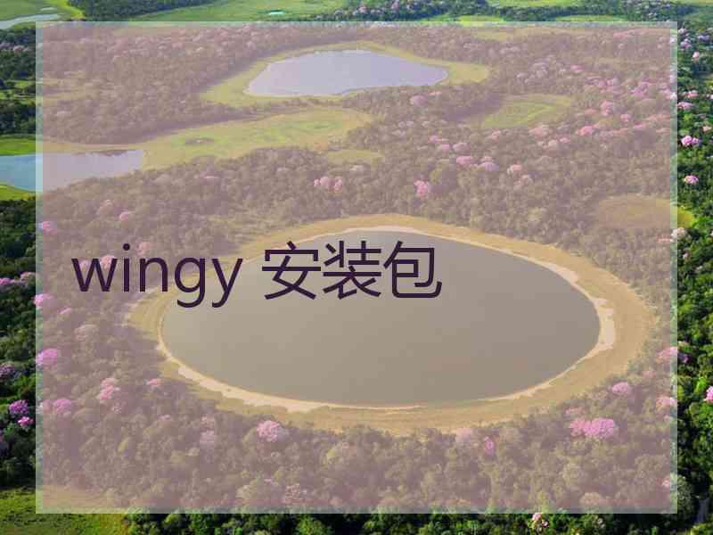 wingy 安装包