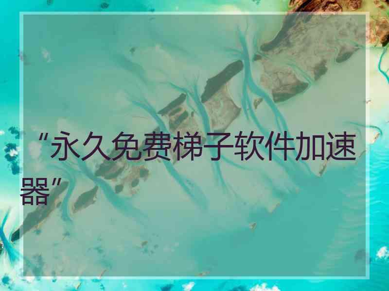 “永久免费梯子软件加速器”