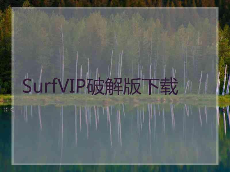 SurfVIP破解版下载