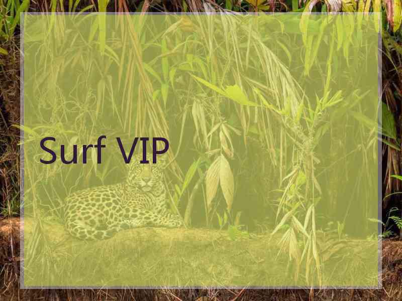 Surf VIP