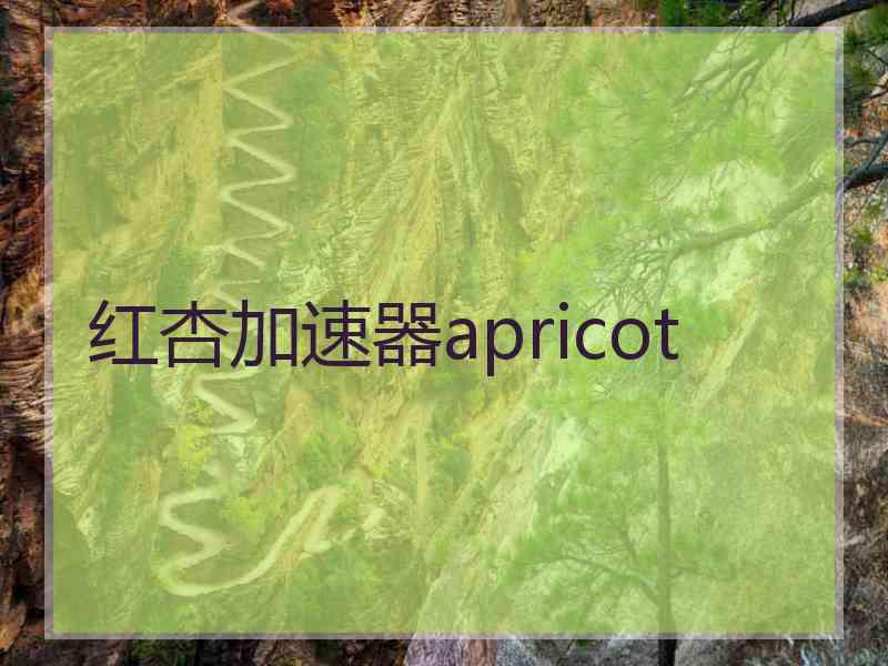 红杏加速器apricot