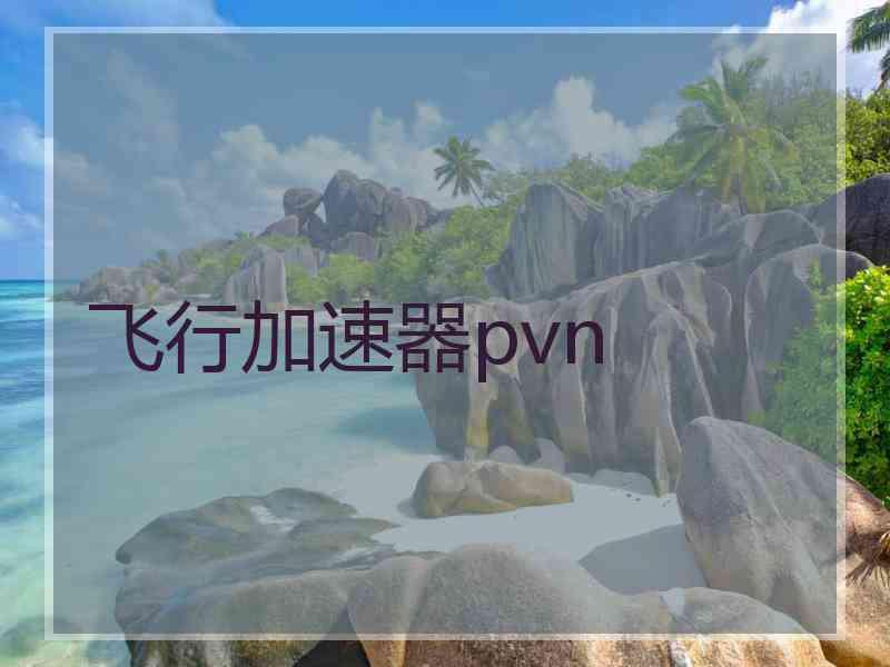 飞行加速器pvn