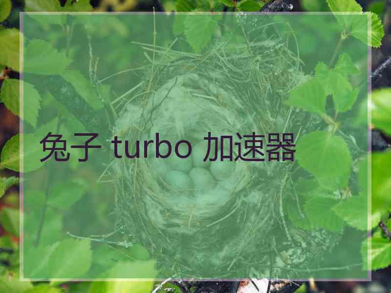 兔子 turbo 加速器