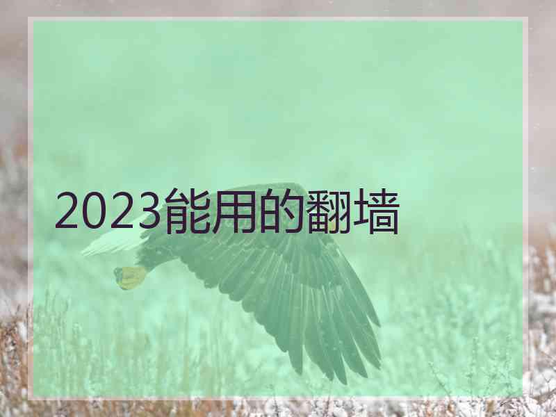 2023能用的翻墙