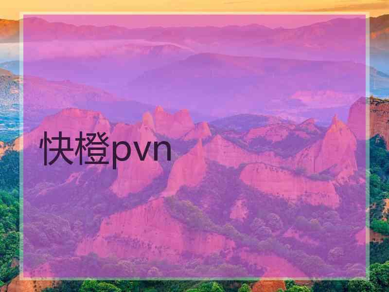 快橙pvn