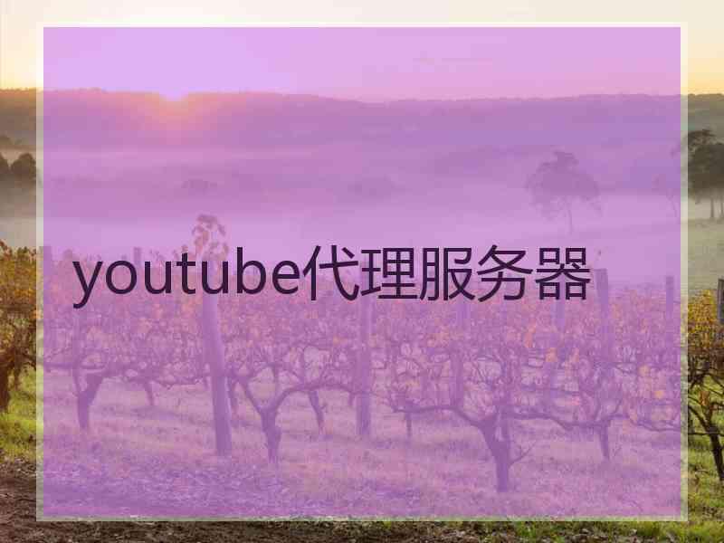 youtube代理服务器