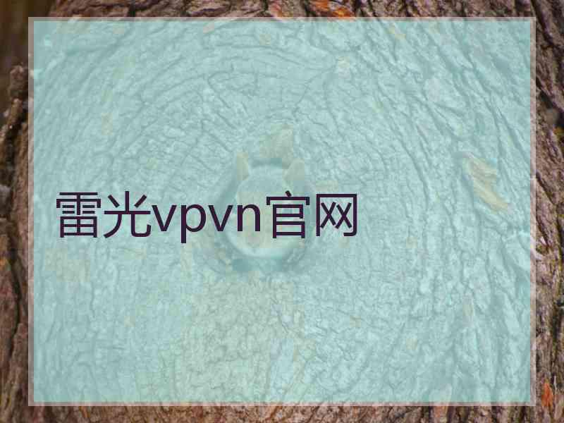 雷光vpvn官网