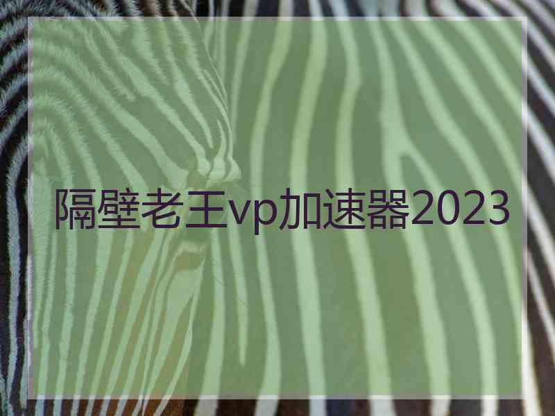 隔壁老王vp加速器2023