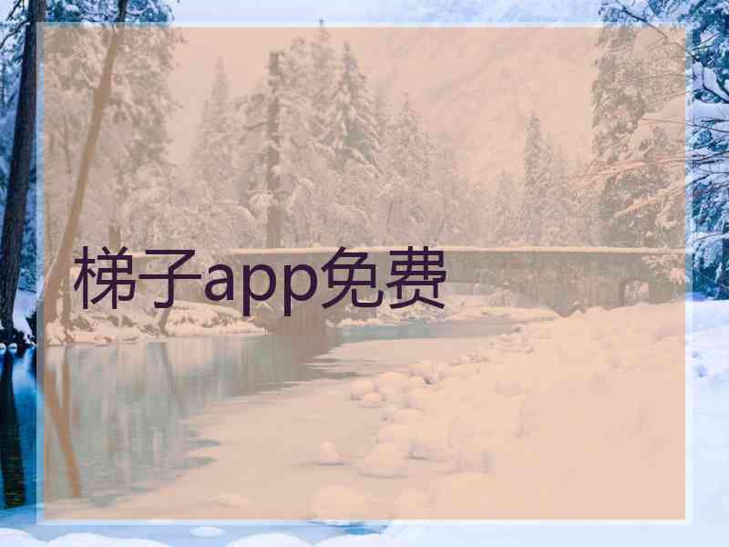 梯子app免费