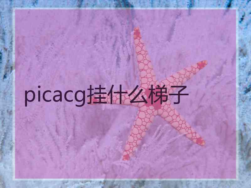 picacg挂什么梯子