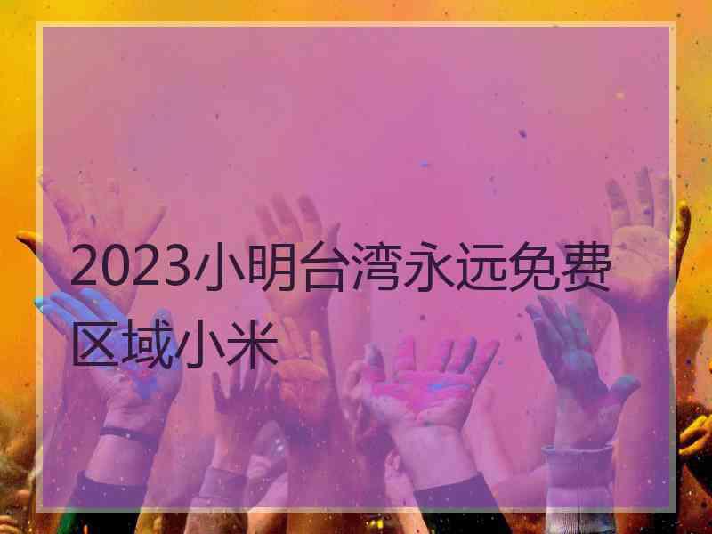 2023小明台湾永远免费区域小米