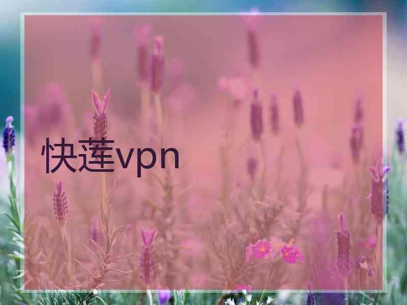 快莲vpn