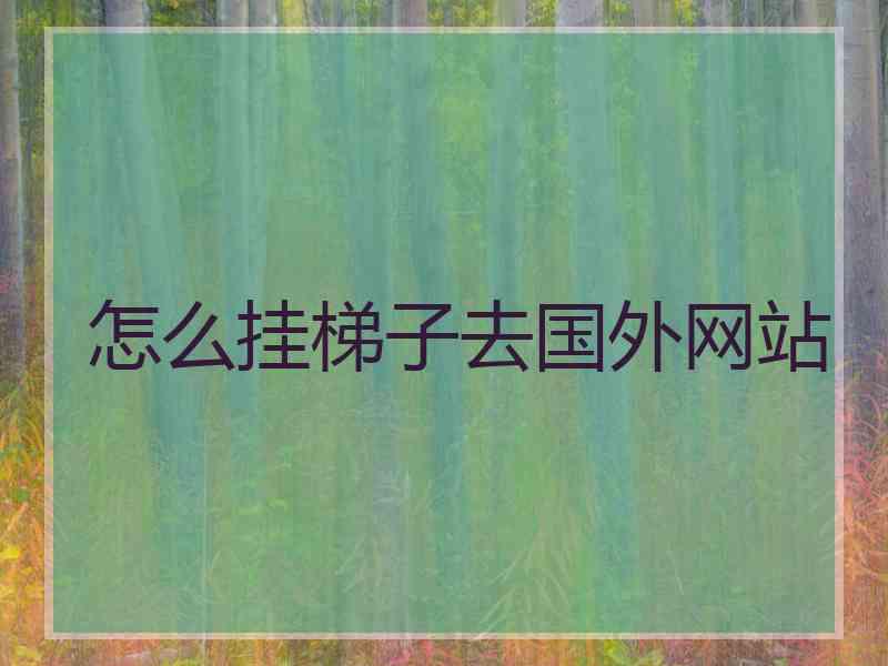 怎么挂梯子去国外网站