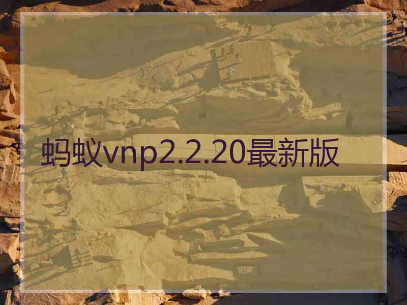 蚂蚁vnp2.2.20最新版