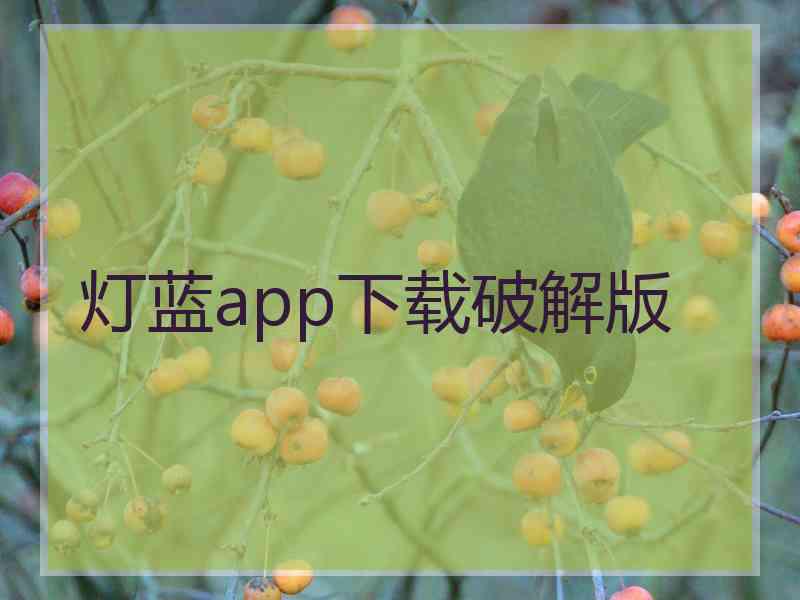 灯蓝app下载破解版