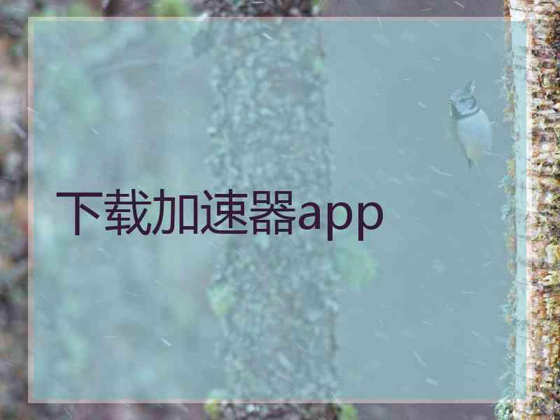 下载加速器app