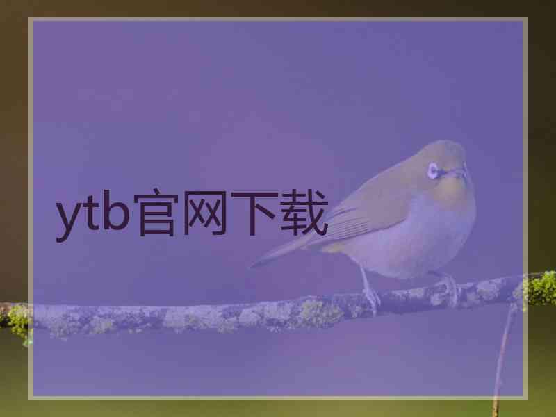 ytb官网下载