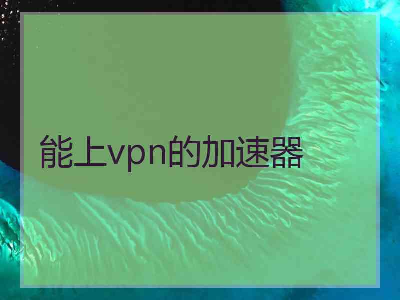 能上vpn的加速器