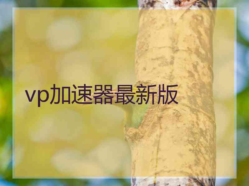 vp加速器最新版