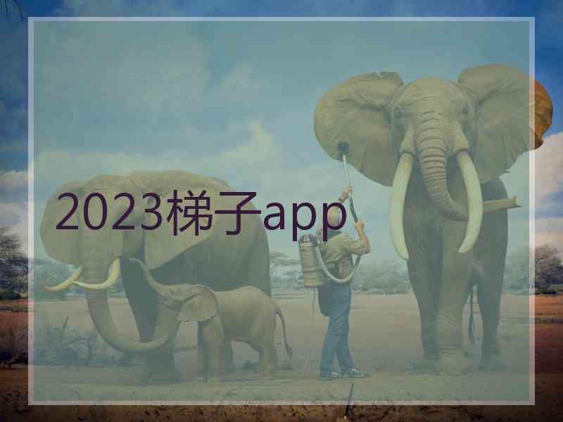 2023梯子app