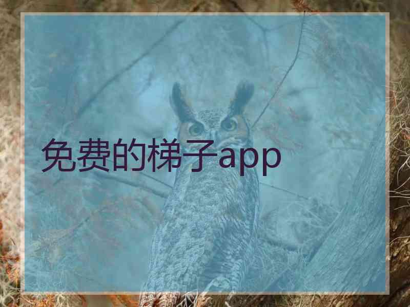 免费的梯子app