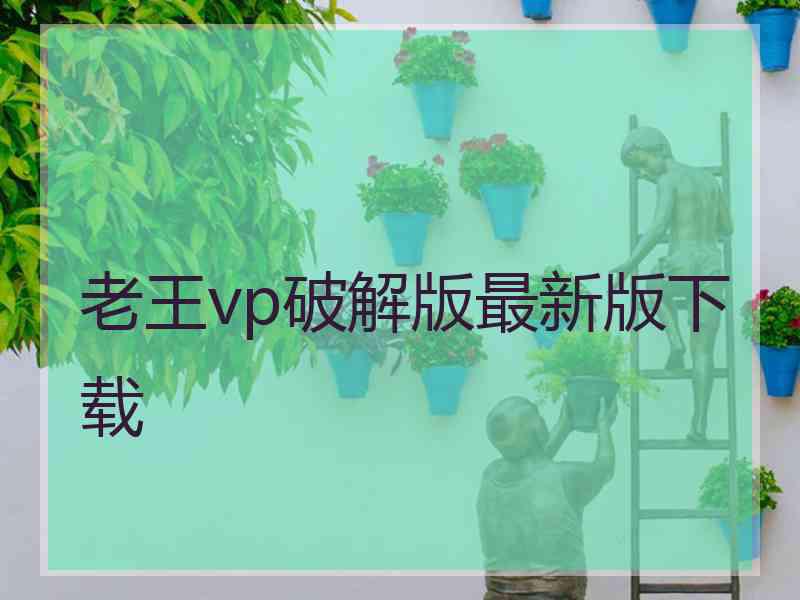 老王vp破解版最新版下载