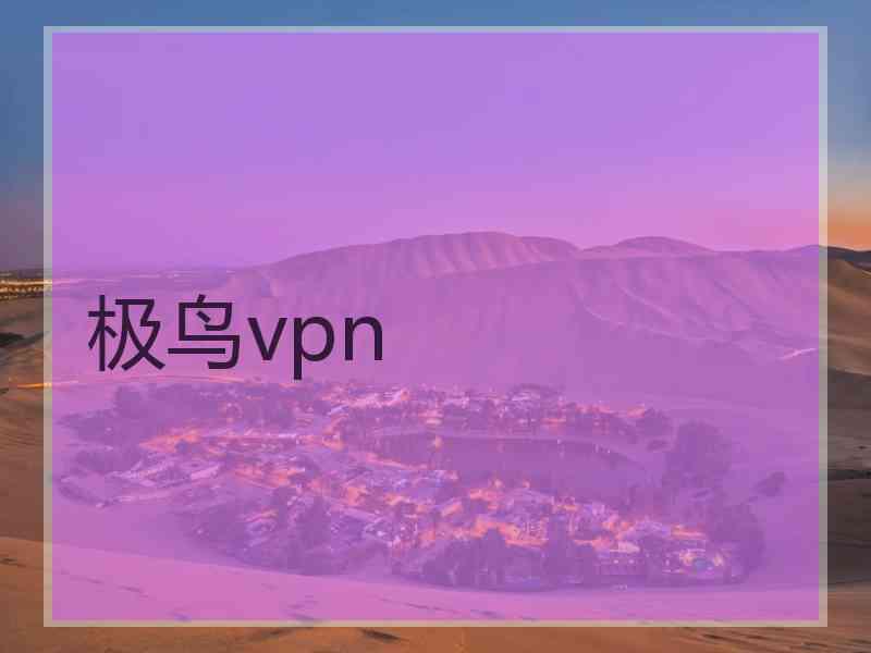 极鸟vpn