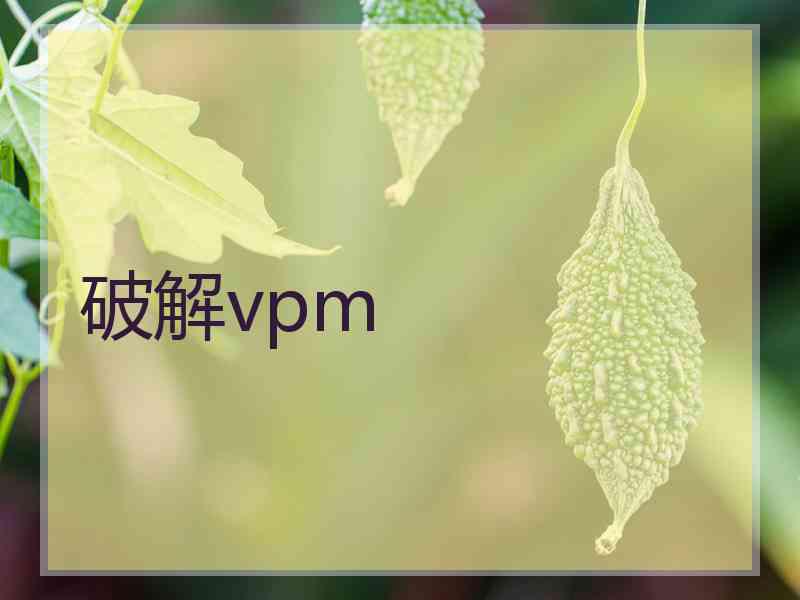 破解vpm