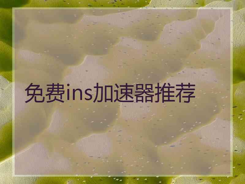 免费ins加速器推荐