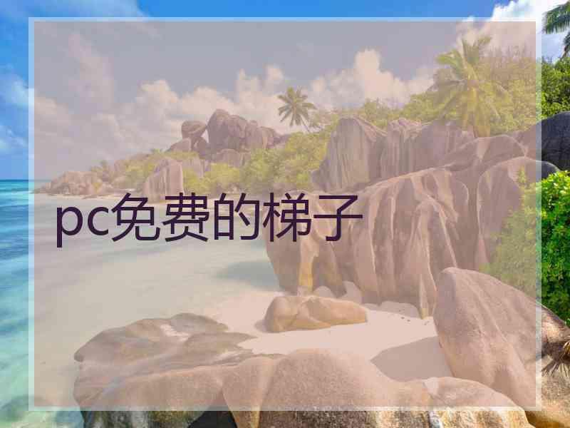 pc免费的梯子