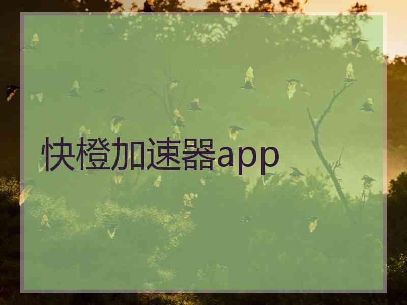 快橙加速器app