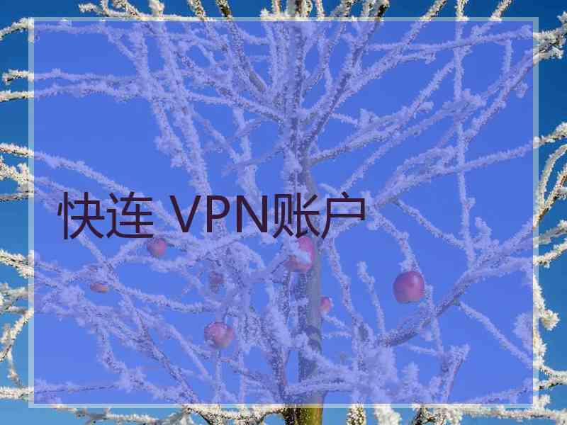 快连 VPN账户