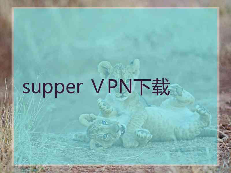 supper ⅤPN下载