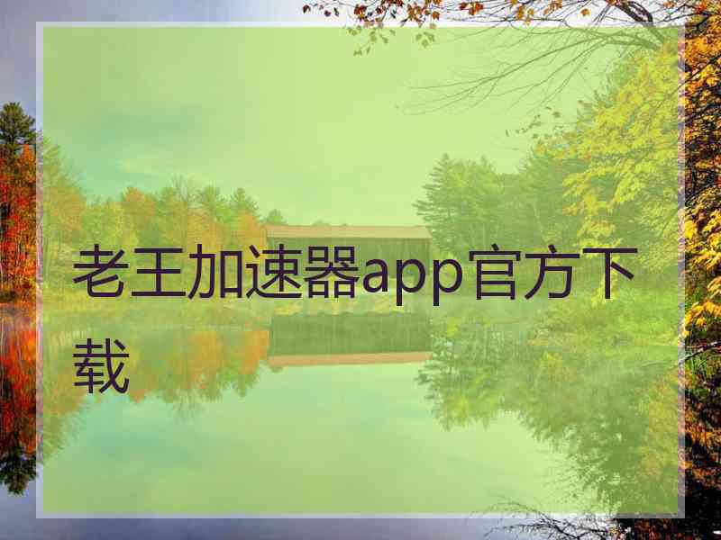 老王加速器app官方下载