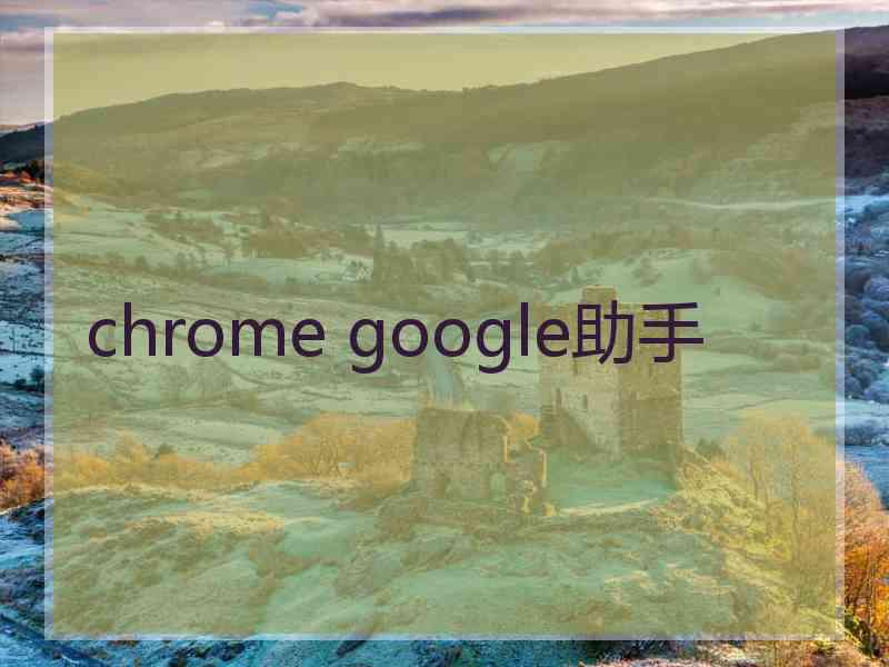 chrome google助手