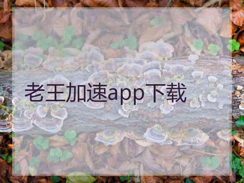 老王加速app下载