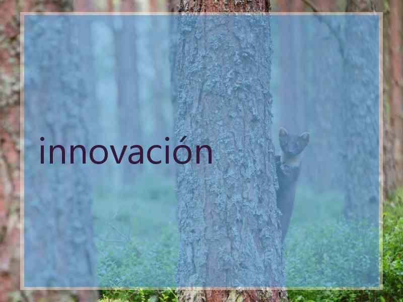 innovación