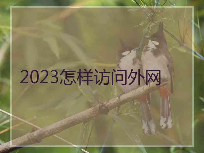 2023怎样访问外网