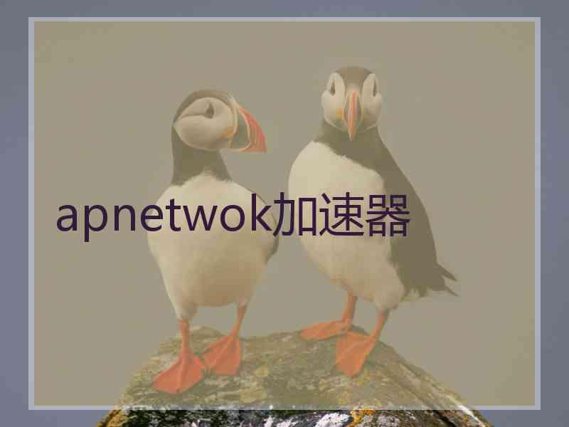 apnetwok加速器