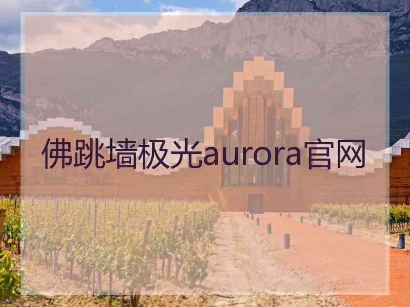 佛跳墙极光aurora官网