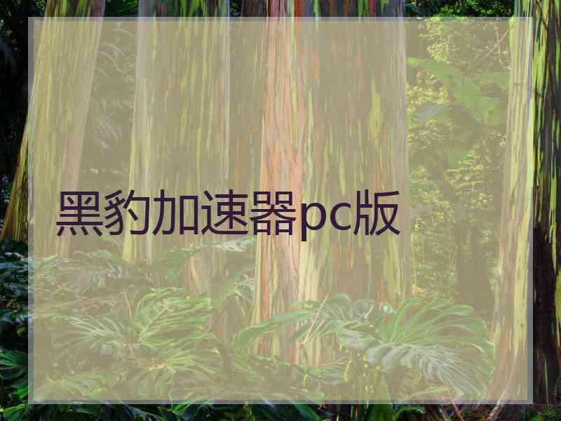 黑豹加速器pc版