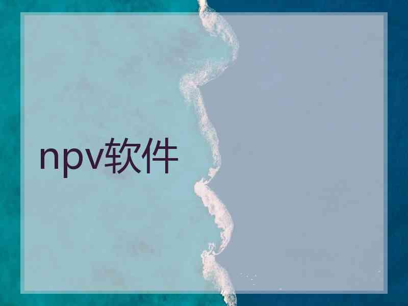 npv软件