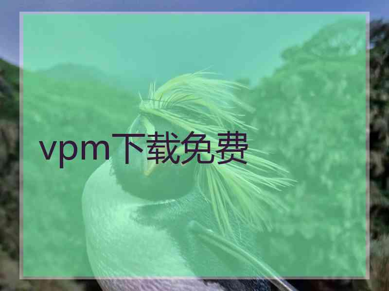 vpm下载免费