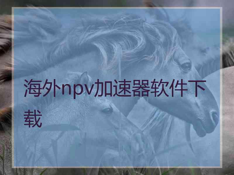 海外npv加速器软件下载