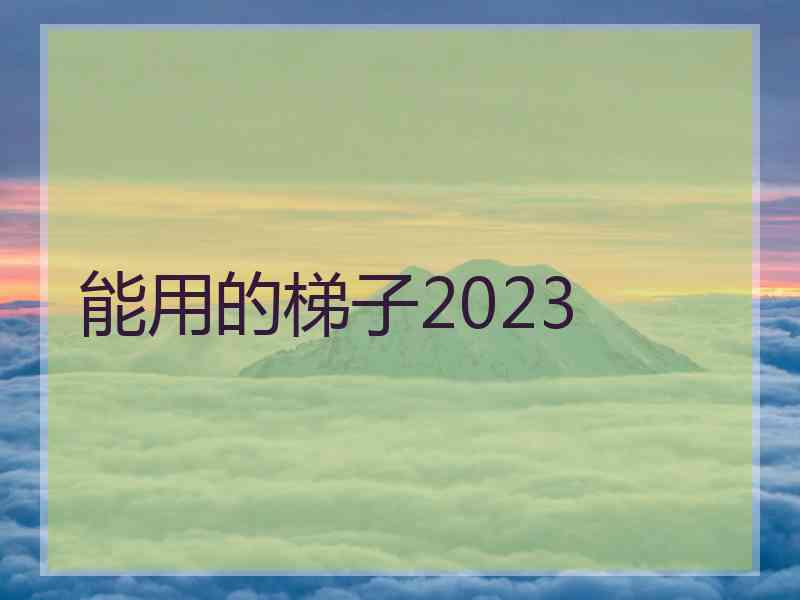 能用的梯子2023