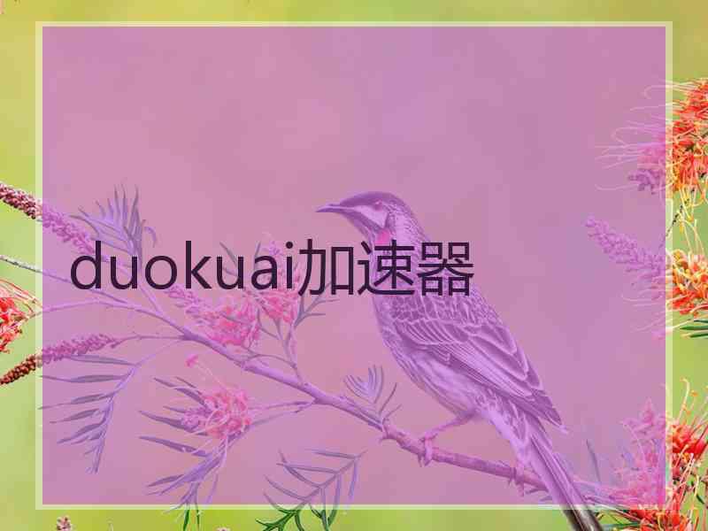 duokuai加速器